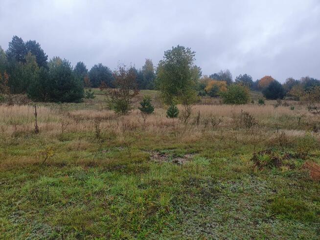 Atrakcyjne działki sąsiedztwo Zalew Cieszanowicki