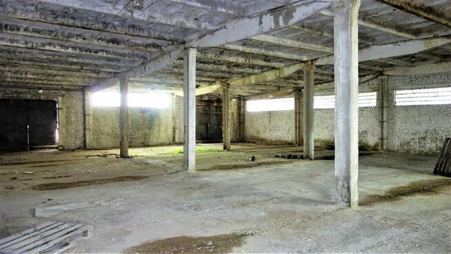 Dąbrowa Biał. * Duża działka z halami magazynowymi * Okazja