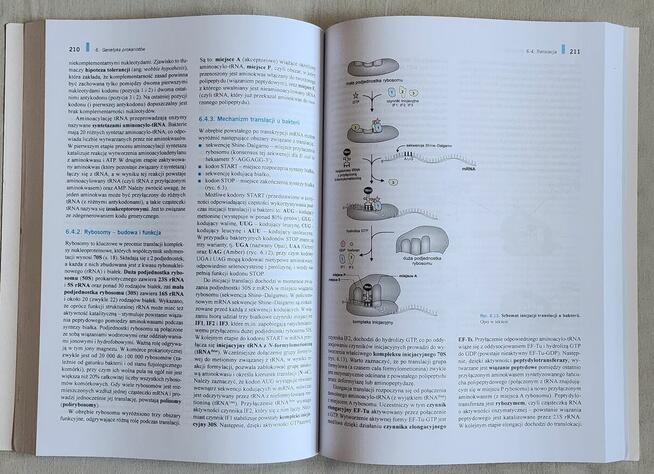 Mikrobiologia PWN Jadwiga Baj