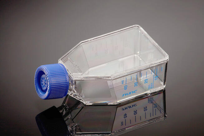 Kurs fotograficzny w studio - 20 godz.