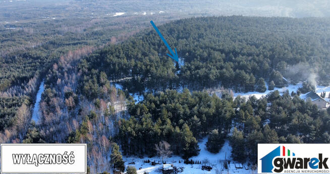 Działka z domkiem otoczona Lasem Przeń Bukowno