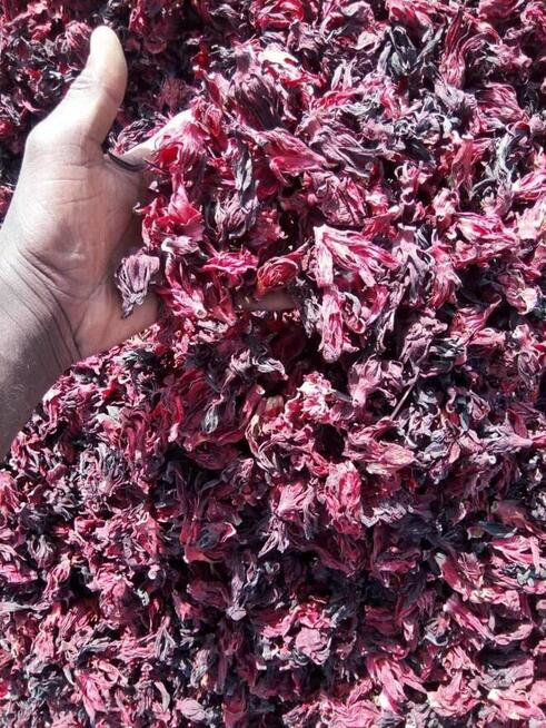 Suszone kwiaty hibiskusa w przystępnych