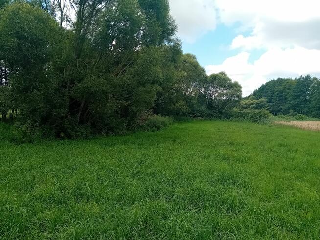 Sprzedam działkę rolną o pow. 5915 m2 w Strzygach