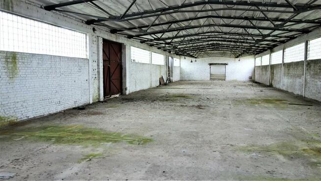 Dąbrowa Biał. * Duża działka z halami magazynowymi * Okazja