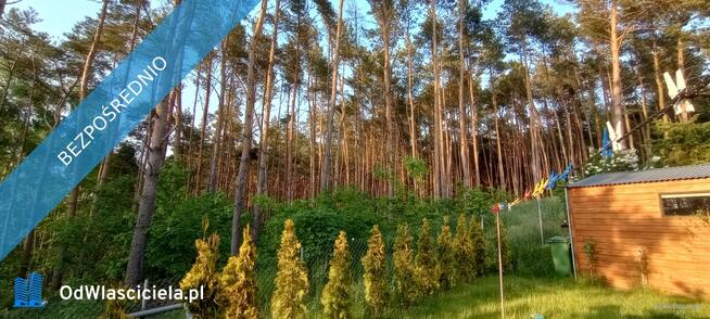 Wiktorowo - działka budowlana