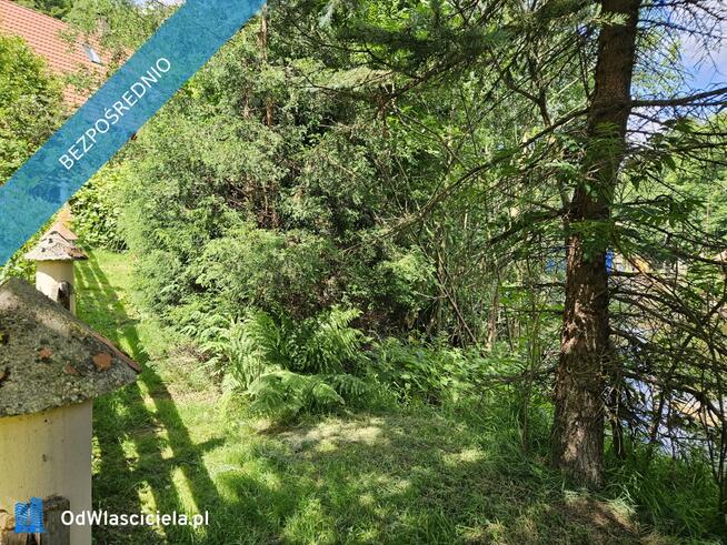 Syndyk sprzeda nieruchomość niezabudowaną