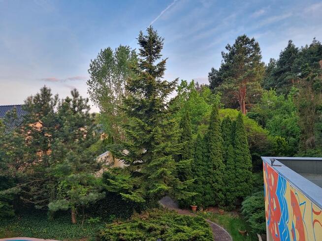 Dom na dużej zielonej działce w Puszczykowie