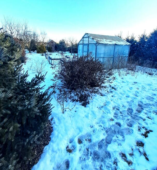 Lokal użytkowy gm. Chodzież