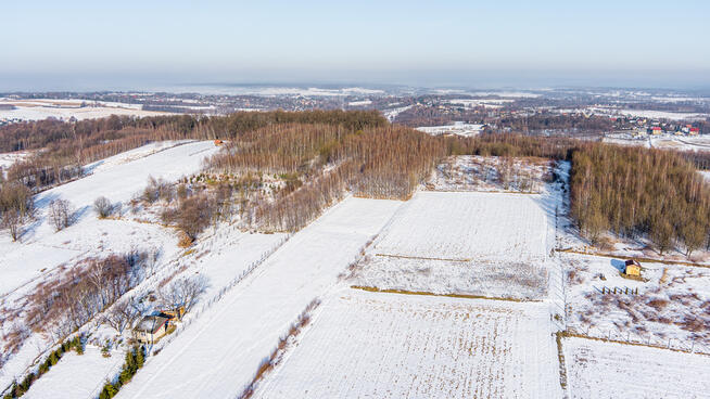 Działka leśna Grabno - gm. Wojnicz!