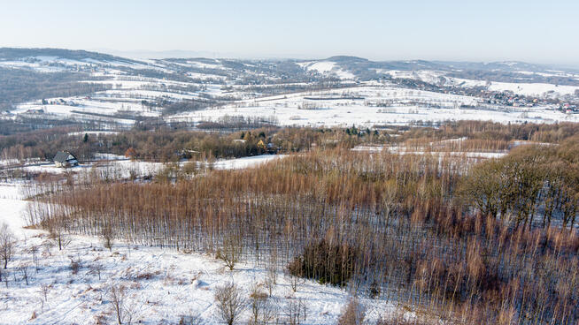 Działka leśna Grabno - gm. Wojnicz!