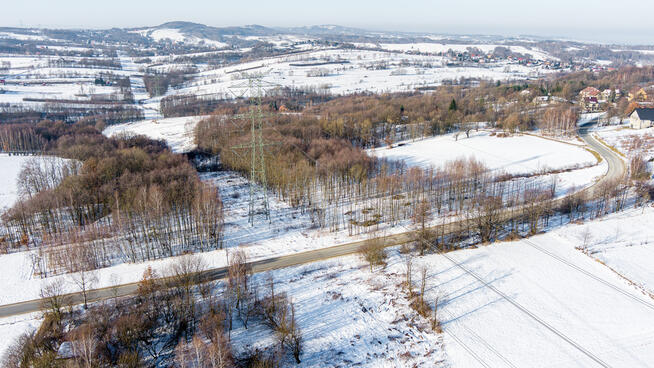 Działka leśna Grabno - gm. Wojnicz!