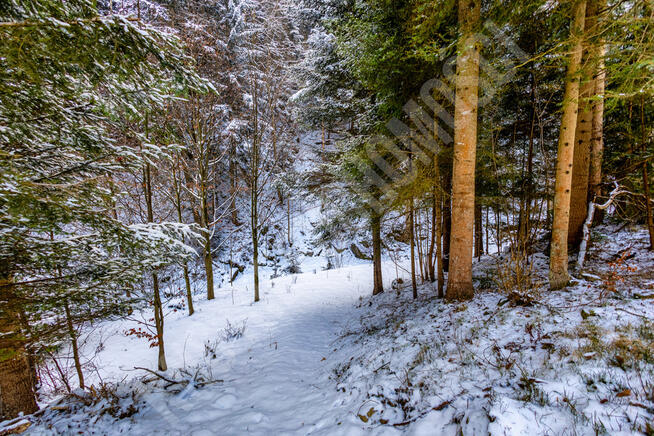 Dom rekreacyjny 41,5 m² Grzechynia, działka 934 m²