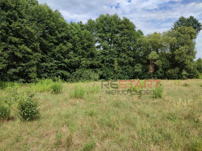 Działka budowlana Adamów-Wieś gm. Radziejowice,