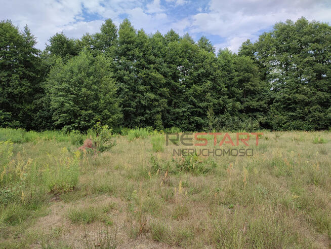 Działka budowlana Adamów-Wieś gm. Radziejowice,