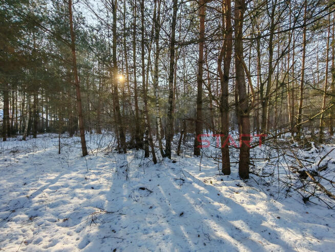 Działka budowlana Władków gm. Grodzisk Mazowiecki,