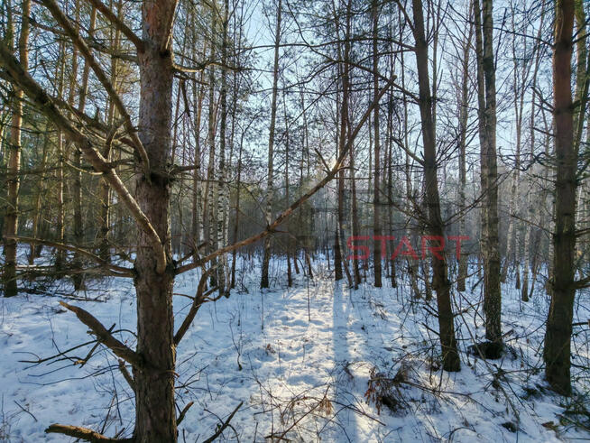 Działka budowlana Władków gm. Grodzisk Mazowiecki,
