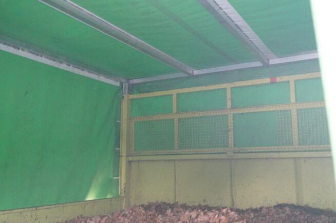 MASCOTT 6-CIO MIEJSCOWY