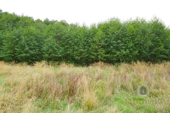 Działki otoczone lasem, powierzchnie od 1543 m2