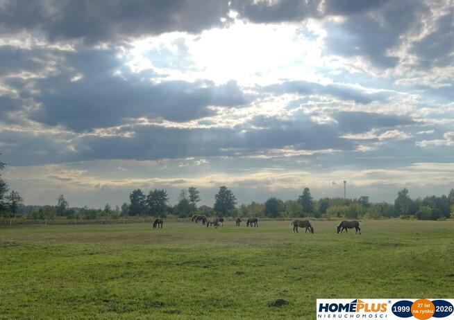 Działka 1,6 ha z domem, media, MPZP – Ruda.