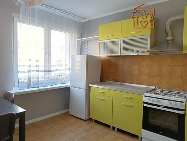 *2 pokoje w centrum, pet-friendly- Lipowa 47/1