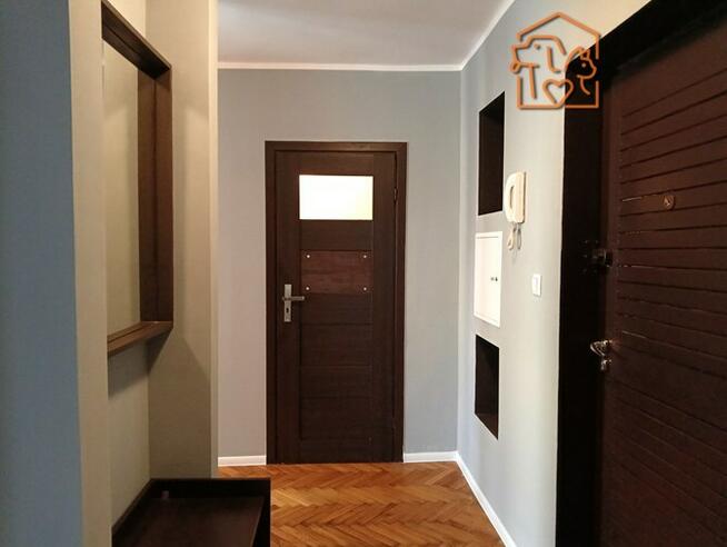 *2 pokoje w centrum, pet-friendly- Lipowa 47/1