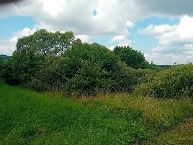 Sprzedam działkę rolną o pow. 5915 m2 w Strzygach