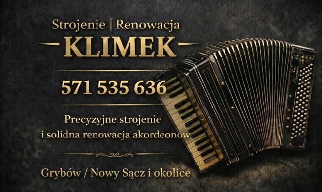 Strojenie i Renowacja Akordeonów