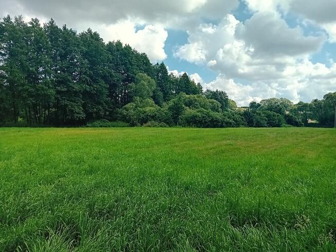 Sprzedam działkę rolną o pow. 5915 m2 w Strzygach