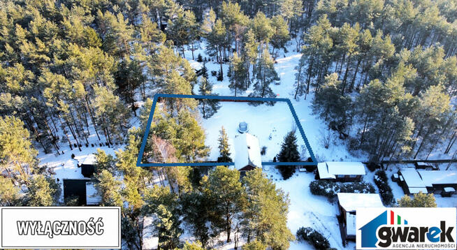 Działka z domkiem otoczona Lasem Przeń Bukowno