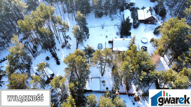 Działka z domkiem otoczona Lasem Przeń Bukowno