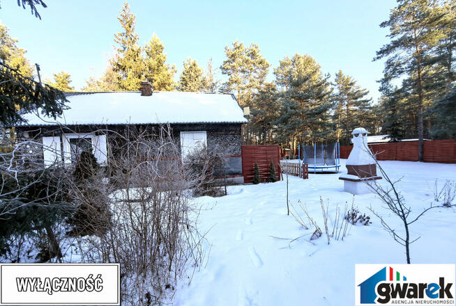 Działka z domkiem otoczona Lasem Przeń Bukowno