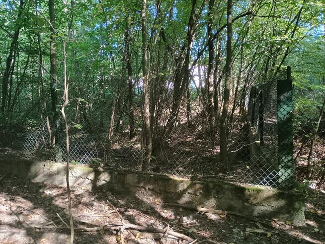 Syndyk sprzeda - Sadek