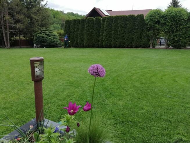 Zakładanie ogrodów Trawników Tarnów