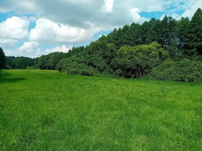 Sprzedam działkę rolną o pow. 5915 m2 w Strzygach