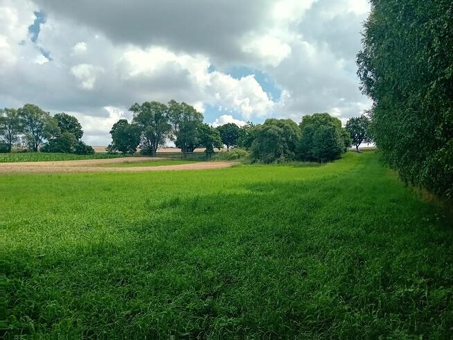 Sprzedam działkę rolną o pow. 5915 m2 w Strzygach