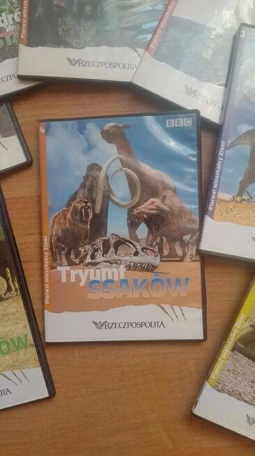 Cała Kolekcja DVD Wędrówek z Dinozaurami
