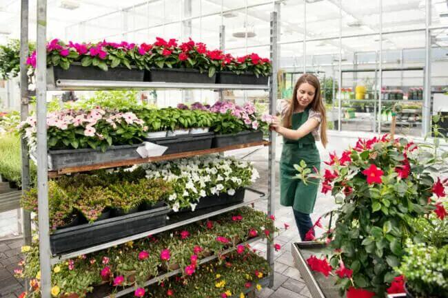 Uprawa i pielęgnacja kwiatów (k/m)