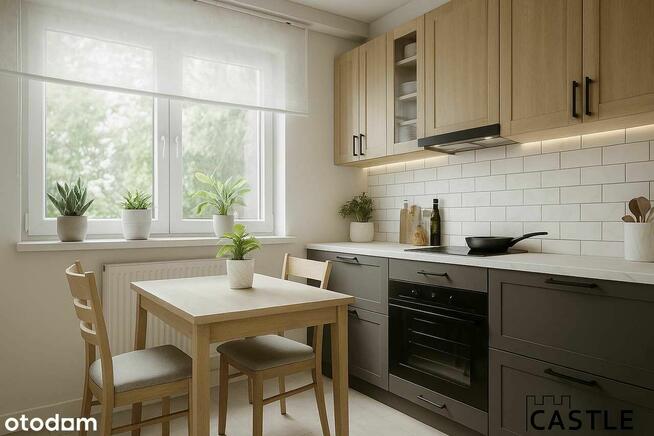 wizualizacje I Jantar I biznes od sezonu letniego I