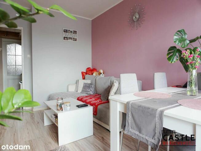 mieszkanie pod wynajem I centrum Malborka I blisko rynku I