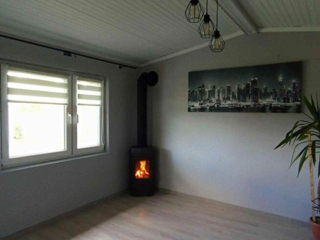 Do sprzedania działka rekreacyjna ROD Gliwice