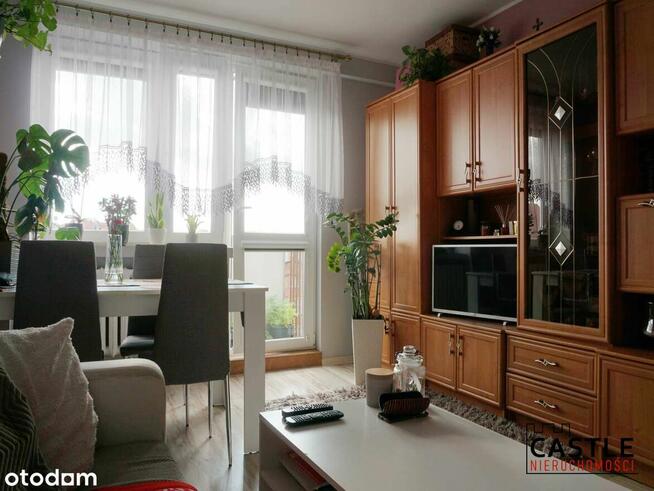 mieszkanie pod wynajem I centrum Malborka I blisko rynku I