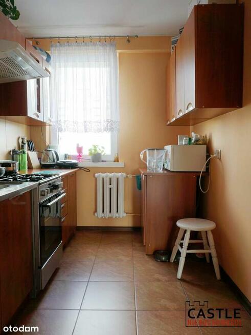 mieszkanie pod wynajem I centrum Malborka I blisko rynku I