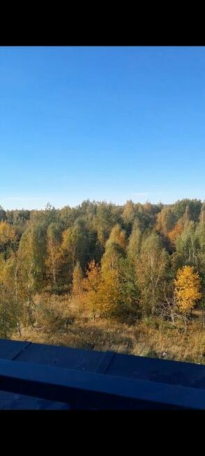 Sprzedam mieszkanie /74 m²/ VI piętro/ taras+balkon