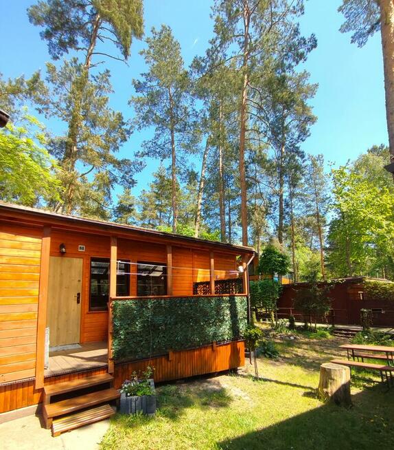 Domki letniskowe nad morzem Stegna