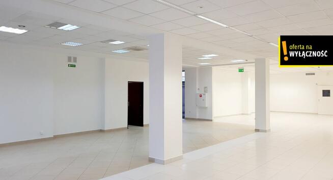 Lokal użytkowy Staszów, Opatowska