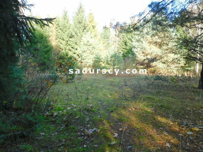 Działka budowlana Biały Ług gm. Prażmów