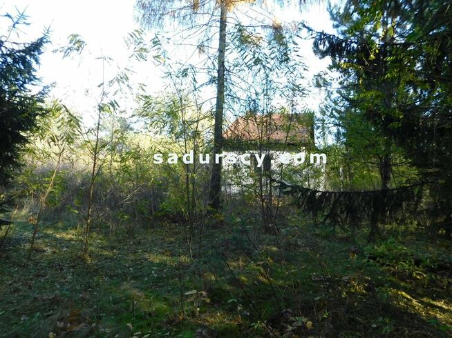 Działka budowlana Biały Ług gm. Prażmów