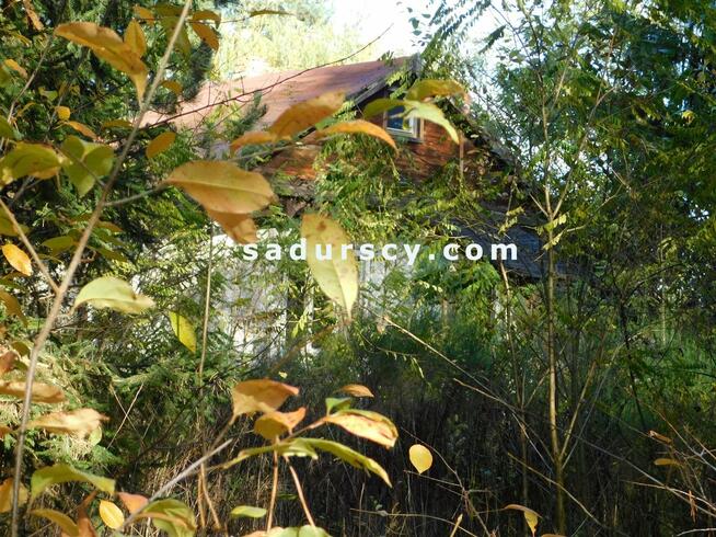 Działka budowlana Biały Ług gm. Prażmów