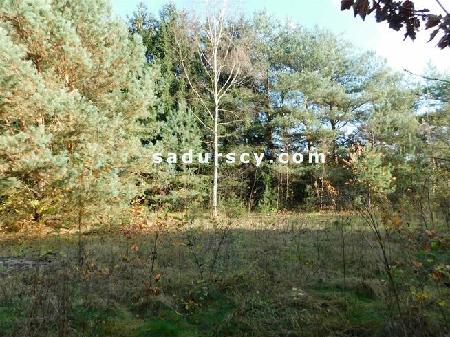 Działka budowlana Biały Ług gm. Prażmów