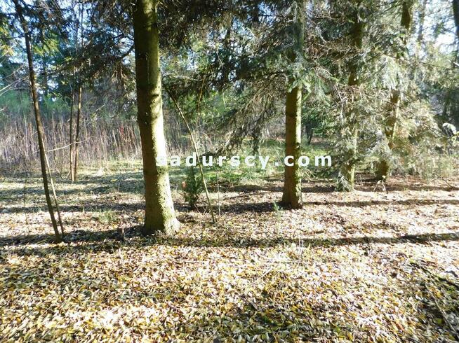 Działka budowlana Biały Ług gm. Prażmów